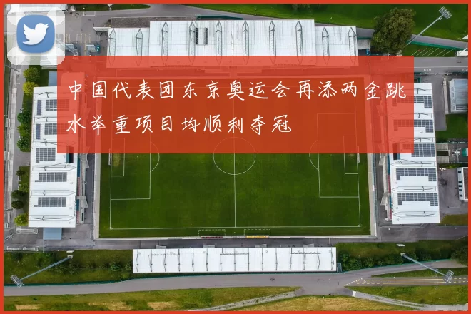 中国代表团东京奥运会再添两金跳水举重项目均顺利夺冠