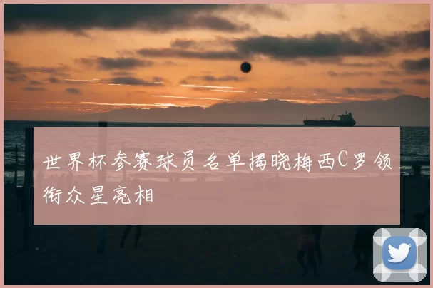 世界杯参赛球员名单揭晓梅西C罗领衔众星亮相